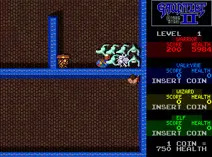 Screenshot of Gauntlet II