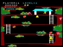 Screenshot of Kangaroo