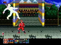 Screenshot of Ninja Combat