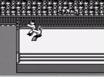 Screenshot of HAL Wrestling