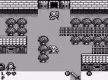 Screenshot of Rolan's Curse