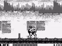 Screenshot of Teenage Mutant Ninja Turtles - Fall of the Foot Clan