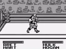 Screenshot of WWF King of the Ring
