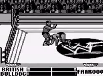 Screenshot of WWF War Zone