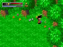 Screenshot of Dragon Ball Z - Buu's Fury (U)