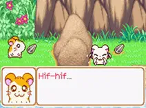 Screenshot of Hamtaro - Ham-Ham Heartbreak (U)