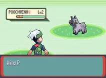 Screenshot of Pokemon - Emerald Version (U)