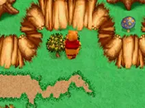 Screenshot of Winnie the Pooh's Rumbly Tumbly Adventure (U) (M3)