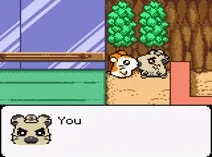 Screenshot of Hamtaro - Ham-Hams Unite!