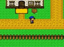 Screenshot of Harvest Moon II