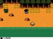 Screenshot of Survival Kids