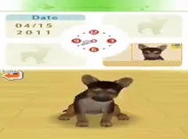Screenshot of Nintendogs - Best Friends (USA)