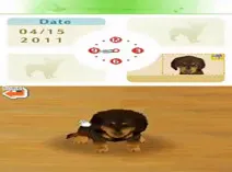 Screenshot of Nintendogs - Dachshund & Friends (USA)