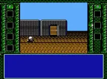 Screenshot of Dragon Wars (J)