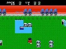 Screenshot of Little Ninja Brothers (E)