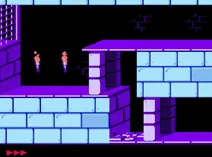 Screenshot of Prince of Persia (S)