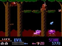 Screenshot of Wizards & Warriors (E)
