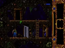 Screenshot of Blackthorne