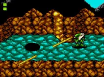 Screenshot of Battletoads (USA)