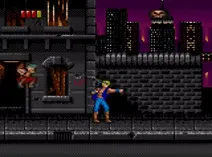 Screenshot of Double Dragon (USA, Europe)