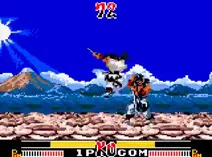 Screenshot of Samurai Shodown (USA)