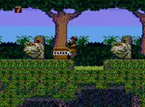 Screenshot of TaleSpin (USA, Europe, Brazil)