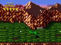 Screenshot of Battletoads (World)