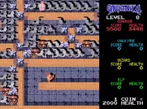 Screenshot of Gauntlet IV (USA, Europe) (En,Ja) (August 1993)