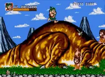 Screenshot of Joe & Mac (USA)