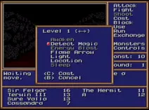 Screenshot of Might and Magic - Gates to Another World (USA, Europe)