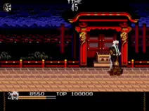 Screenshot of Mystical Fighter (USA)