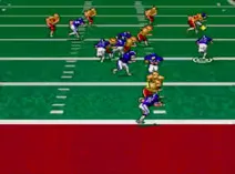 Screenshot of Pro Quarterback (USA)