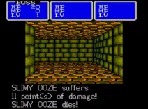 Screenshot of Shining in the Darkness (USA, Europe)