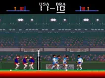 Screenshot of Super Volley Ball (USA)