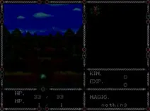 Screenshot of Sword of Vermilion (USA, Europe)