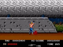 Screenshot of Thunder Fox (USA)