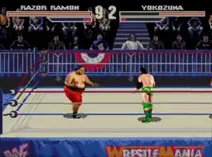 Screenshot of WWF WrestleMania - The Arcade Game (USA)