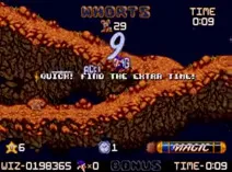 Screenshot of Wiz'n'Liz (USA)