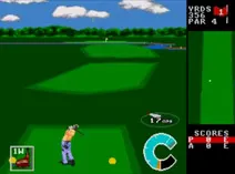 Screenshot of World Class Leaderboard Golf (USA)