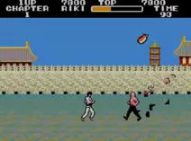 Screenshot of Black Belt (USA, Europe)