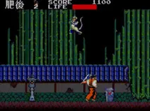 Screenshot of Kenseiden (USA, Europe)