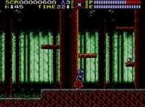 Screenshot of Ninja Gaiden (Europe)
