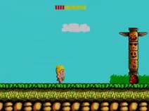 Screenshot of Wonder Boy (USA, Europe)