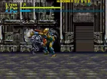 Screenshot of Alien vs Predator (USA)