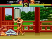 Screenshot of Art of Fighting (USA)