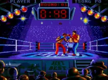 Screenshot of Best of the Best - Championship Karate (USA)