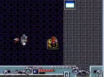 Screenshot of Brain Lord (USA)