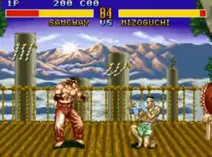 Screenshot of Fighter's History (USA) (Rev 1)