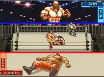 Screenshot of Hammer Lock Wrestling (USA)