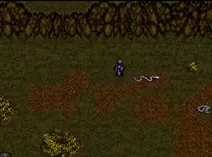 Screenshot of J.R.R. Tolkien's The Lord of the Rings - Volume 1 (USA)